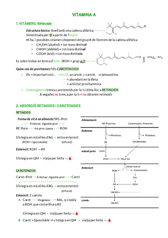 VITAMINA-A.pdf