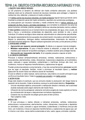 TEMA-14.pdf