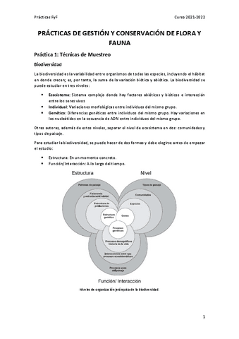Practicas-FyF-completas.pdf