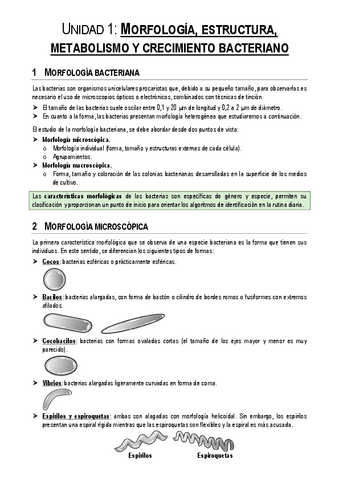 Unidad-1.pdf