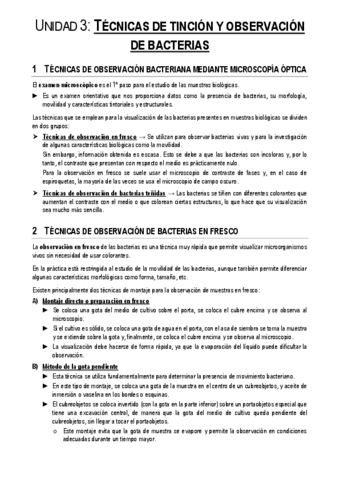 Unidad-3.pdf