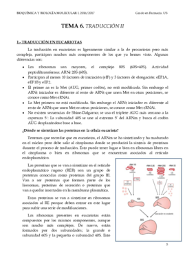 TEMA 6 TRADUCCIÓN II.pdf