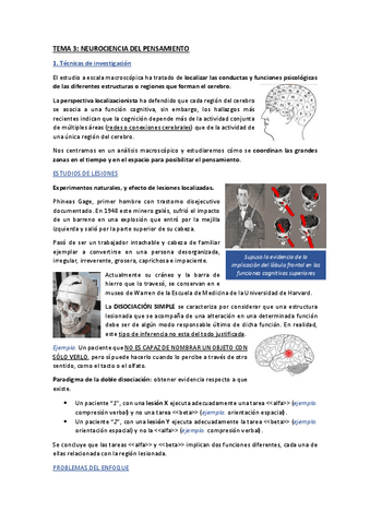 Apuntes-Tema-3.pdf