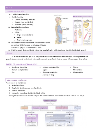 tema-2.pdf