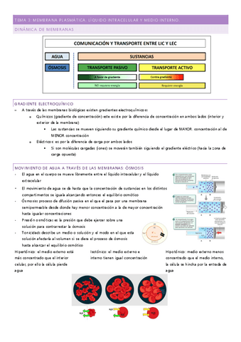 tema-3.pdf