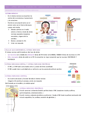 tema-5.pdf