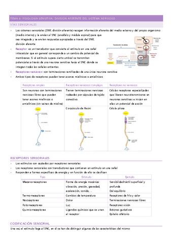 tema-6.pdf