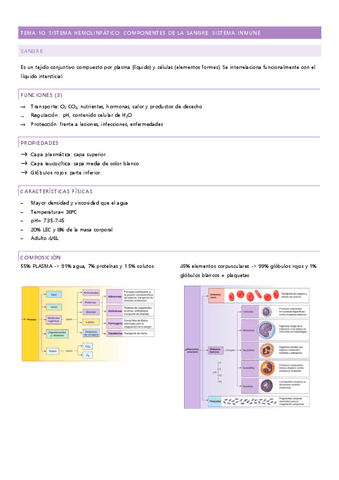 tema-10.pdf