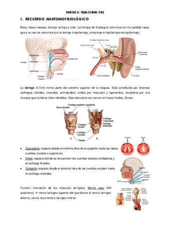Apuntes-trastornos-ORL.pdf