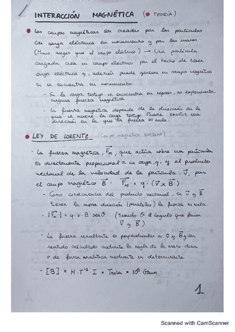 Interaccion-Magnetica.pdf