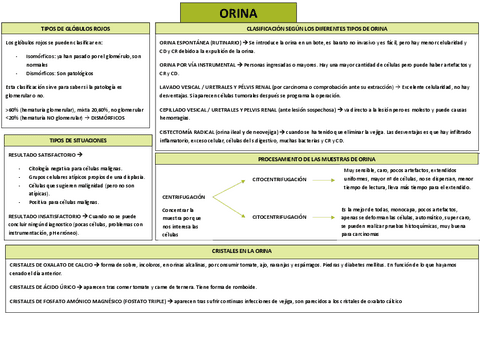 ESQUEMA-ORINA.pdf