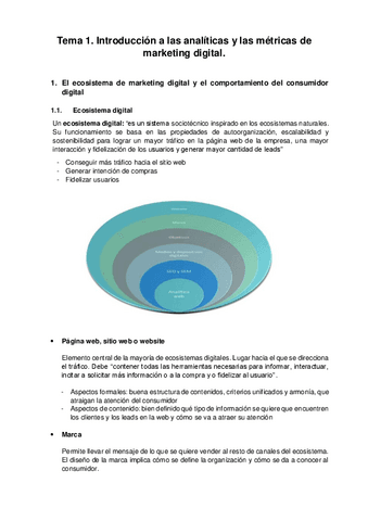 Tema-1.-Analiticas-y-metricas.pdf