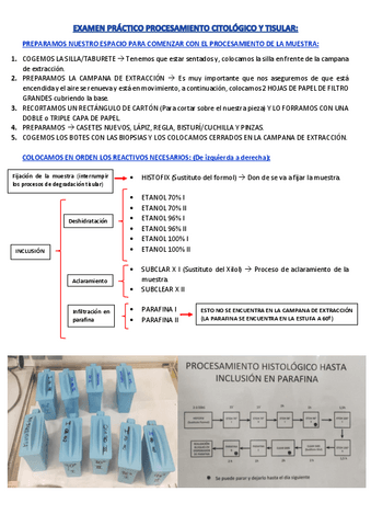 EXAMEN-PRACTICO-PROCESAMIEN-TO-CITOLOGICO-Y-TISULAR.pdf