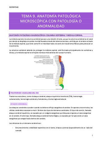 TEMA-8.pdf