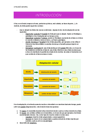 INTRODUCION.pdf