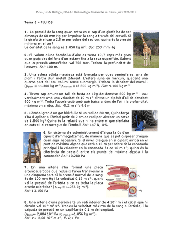 Problemes20215fluids.pdf