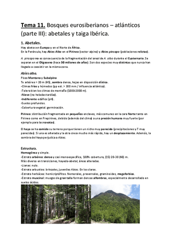 Tema-11.-Bosques-eurosiberianos-atlanticos-parte-III-abetales-y-taiga-Iberica..pdf