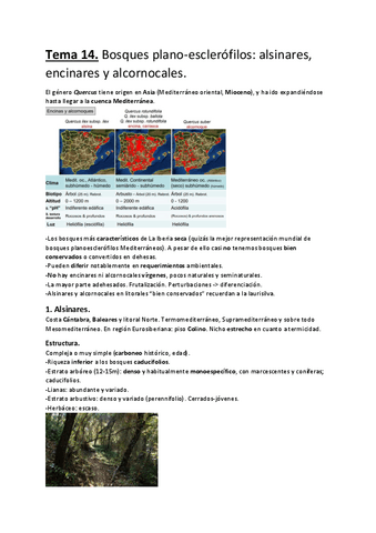 Tema-14.-Bosques-plano-esclerofilos-alsinares-encinares-y-alcornocales..pdf