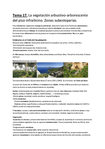 Tema-17.-La-vegetacion-arbustivo-arborescente-del-piso-infrailicino.-Zonas-subesteparias..pdf