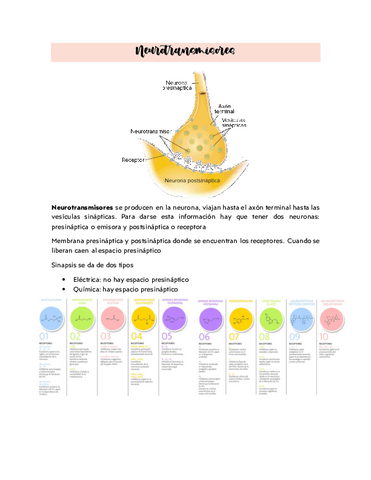 Neurotransmisores.pdf