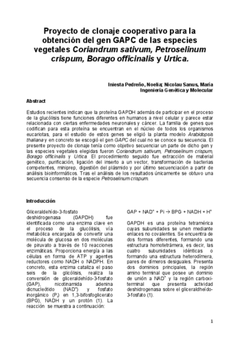 Memoria-Practicas.pdf