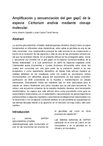 MEMORIA-PRACTICAS-VERSION-FINAL.pdf
