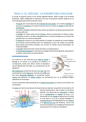 biologia-celular-tema-2.pdf