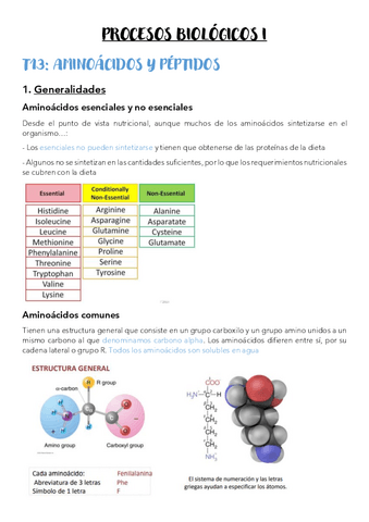 T13-Aminoacidos-y-peptidos.pdf