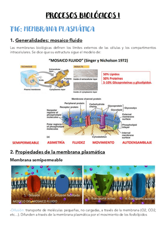 T16-Membrana-plasmatica.pdf