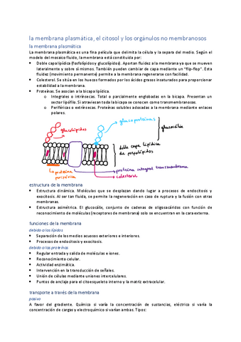 unidad-7-organulos-I.pdf