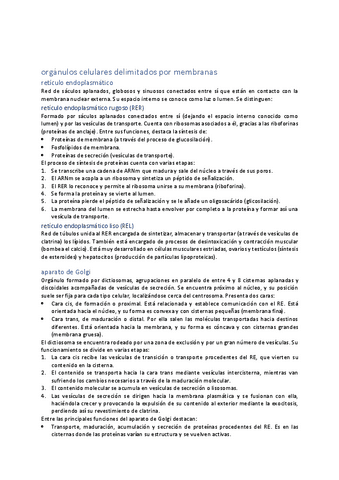 unidad-8-organulos-II.pdf