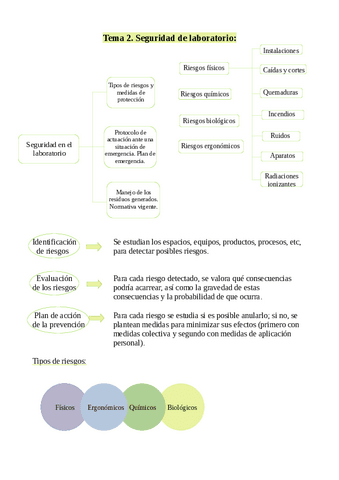 T2-Seguridad del laboratorio.pdf