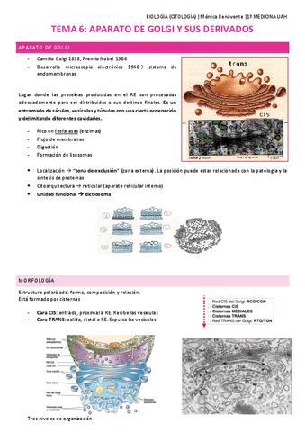 TEMA-6-Aparato-de-Golgi-y-sus-derivados.pdf