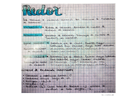 Redox.pdf
