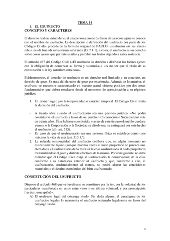 TEMA-14.pdf