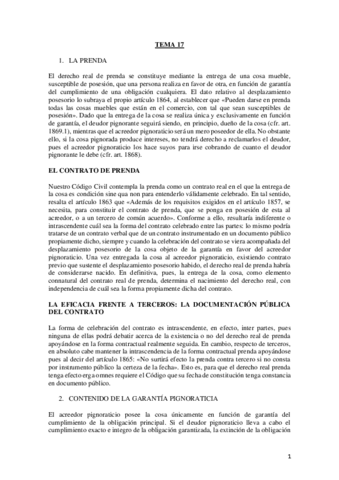 TEMA-17.pdf