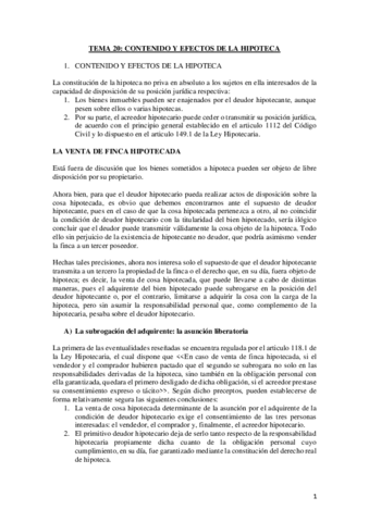 TEMA-20.pdf
