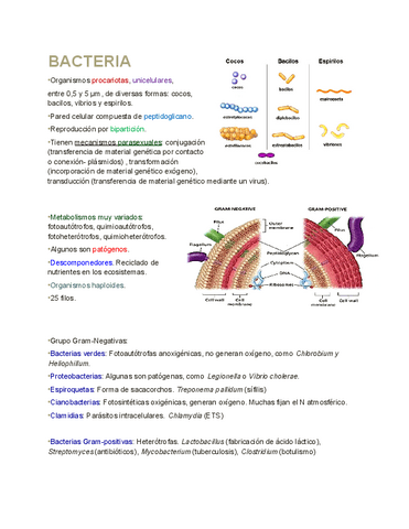 3-dominios-6-reinos.pdf