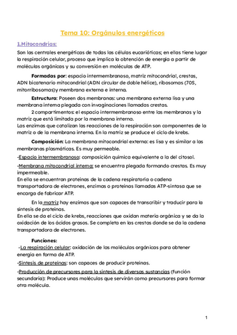 Tema-10-Organulos-energeticos-1.pdf