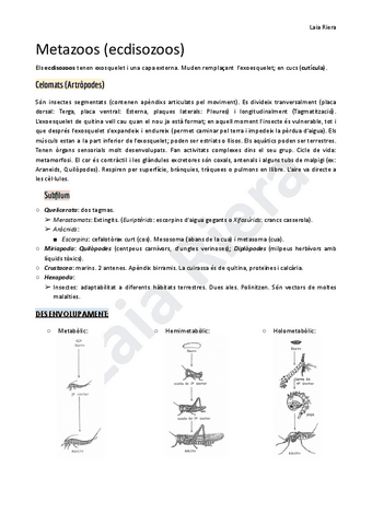 6.3.-Metazoos-ecdisozoos-23.pdf