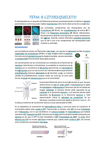 Biologia-celular-tema-8.pdf