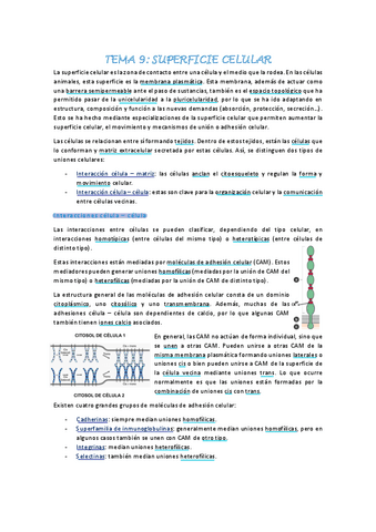 Biologia-celular-tema-9.pdf