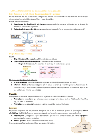 TEMA-7.-Metabolismo-de-compuestos-nitrogenados.pdf