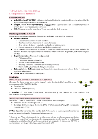 TEMA-1.-Genetica-mendeliana.pdf