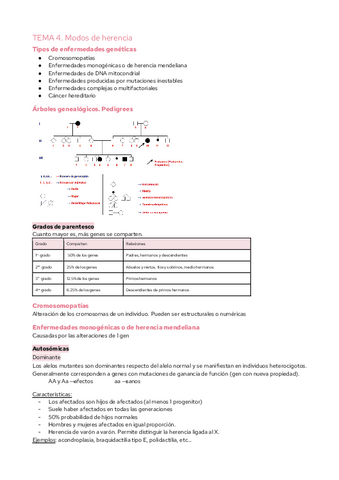 TEMA-4.-Modos-de-herencia.pdf