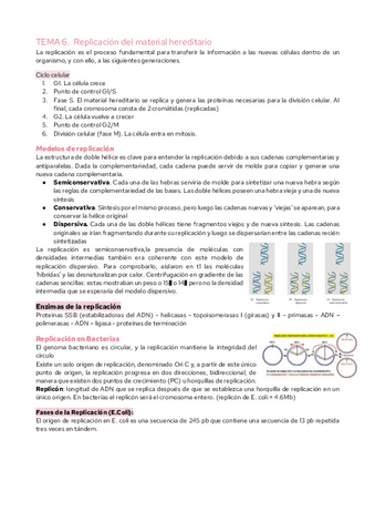 TEMA-6.-Replicacion-del-material-hereditario.pdf