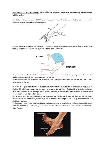 ACLARACION-TERMINOS-FLEXION-Y-EXTENSION-EN-TOBILLO-Y-PIE.pdf