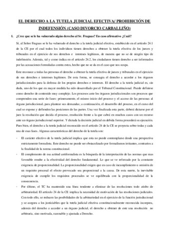 CASO-DIVORCIO-EL-DERECHO-A-LA-TUTELA-JUDICIAL-EFECTIVA.pdf