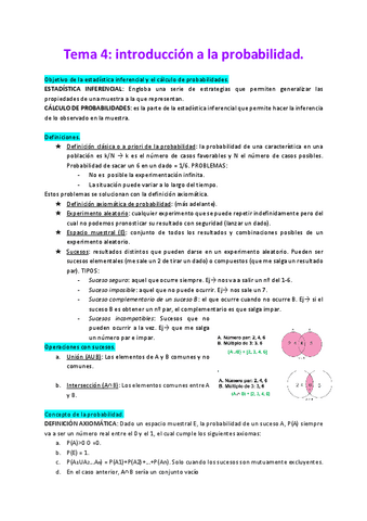 Tema-4-imprimir.pdf