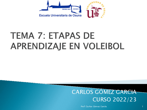 TEMA-7.-ETAPAS-DE-APRENDIZAJE.pdf